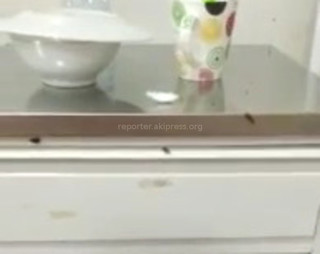 Пациенты 3-й детской больницы Бишкека просят ликвидировать тараканов в палатах <i>(видео)</i>