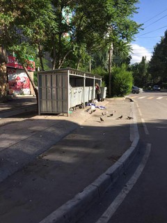 На пересечении улиц Боконбаева и Шопокова не убран мусор (фото)