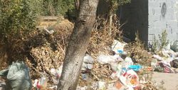 Горожанин просит убрать мусор на улице Юнусалиева в 4 мкр