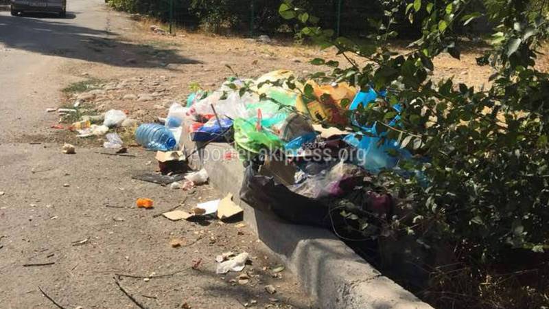 На улице Ташкумырской складируют мусор (фото)