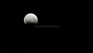Фото, видео — Лунное затмение