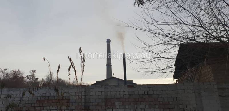 Бишкекчанин жалуется на черный дым пункта приема бутылок на территории парка им.Фучика