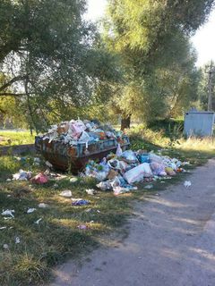 В селе Пригородном Аламединского района на ул.Ынтымак давно не вывозили мусор, - читатель (фото)