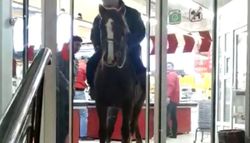 В г.Токмок мужчина верхом на лошади зашел в супермаркет, - читатель <i>(видео)</i>