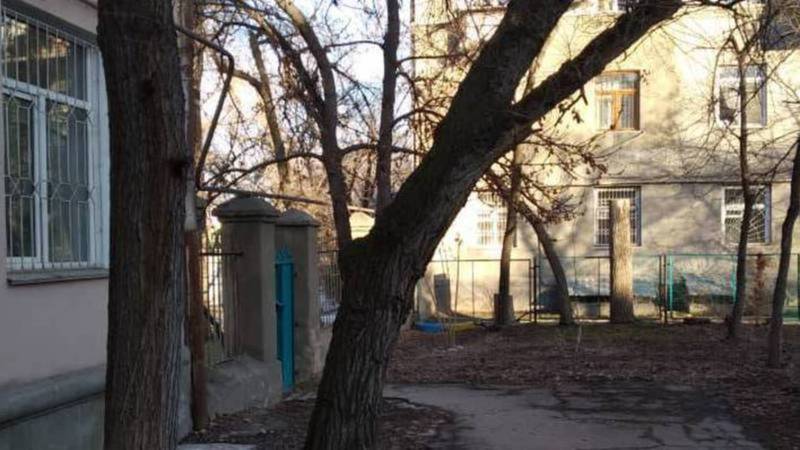 На ул.Льва Толстого во дворе дома №16 аварийные деревья уберут завтра, -мэрия