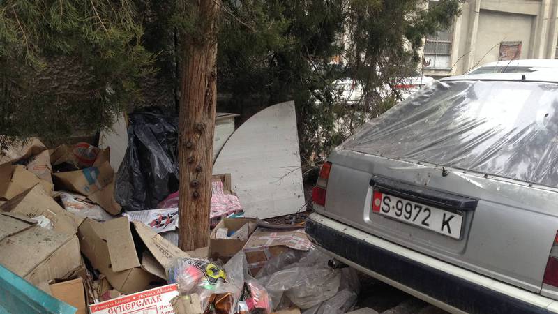 В Бишкеке на пр.Чуй за Свердловской райадминистрацией разбросан мусор (фото)