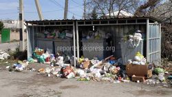На улице Иманалиева селе Орто-Сай не хватает мусорных контейнеров