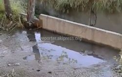 В районе Института земледелия и жилмассива Ак-Орго в быстроток стекают канализационные воды (видео)