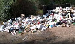 В селе Бостери в районе пансионата «Золотые пески» не вывозят мусор (видео)