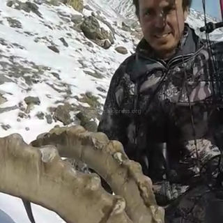 Испанец, приехавший на охоту в Кыргызстан, убил козерога из лука <i>(видео)</i>