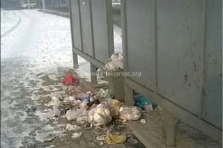«Тазалык» уберет мусор на остановке на Профсоюзной-Кустанайской, - мэрия