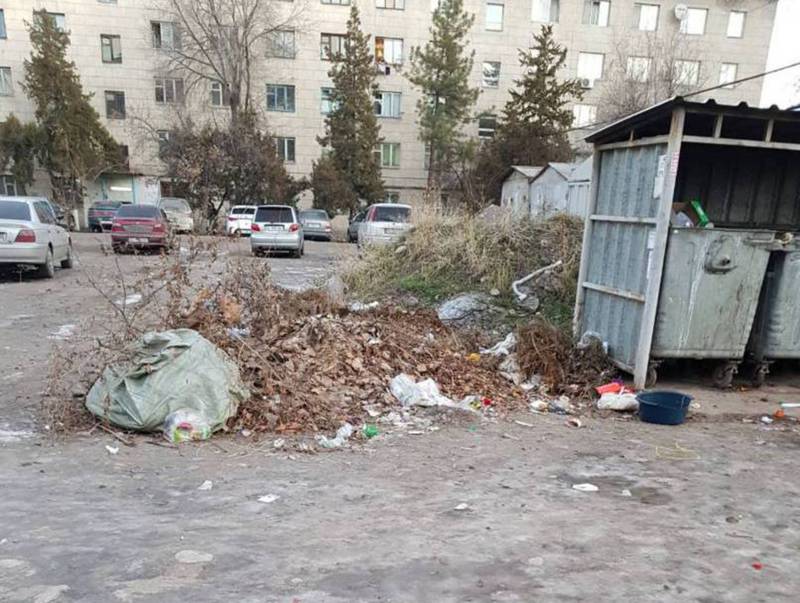 На Акиева-Тимирязева возле мусорных баков давно лежат сухие ветки