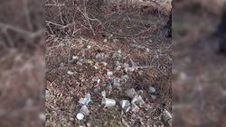 На Валиханова-Исакеева на лесополосе вдоль дороги до сих пор не убрали мусор, - очевидец