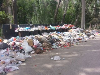 На ул. Ауэзова в течение месяца не вывозится мусор, - читатель <b>(фото)</b>