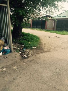 На Крылова-Фруктовой в районе Пишпека нет мусорных баков, что приводит к образованию свалки (фото)