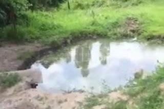 Жительница Сокулука: На ул.Пионерской образовалась большая яма с водой, местные власти не реагируют (видео)