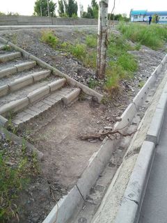 В столичном 10 мкр на участке ул.Малдыбаева нет перехода к лестнице (фото)