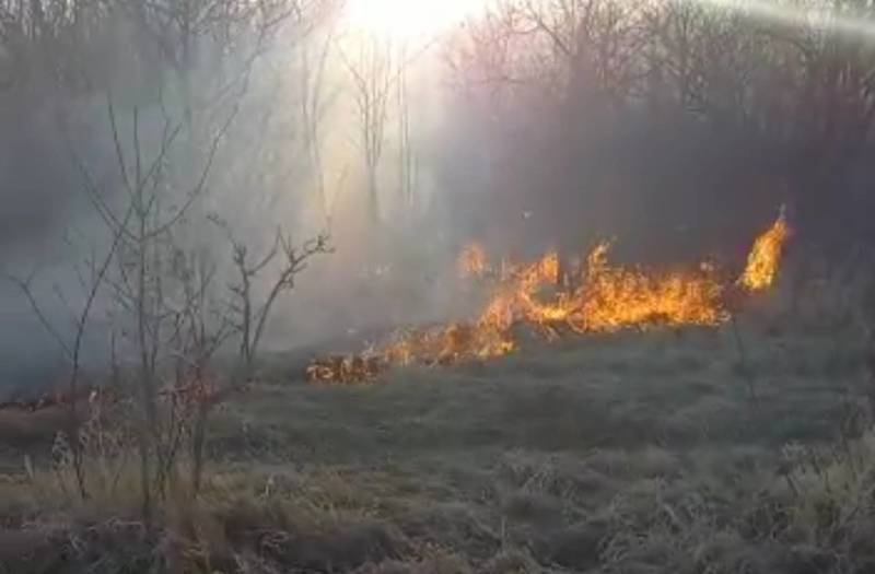 Пожар в Ботаническом саду: очевидцы пытаются сами потушить огонь. Видео
