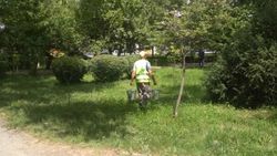 «Бишкекзеленхоз» полил деревья возле 4 роддома после жалобы горожанина. Видео