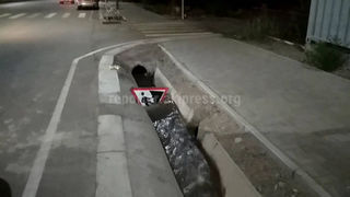 На участке ул.Токтоналиева дорожный знак лежит в арыке (видео)