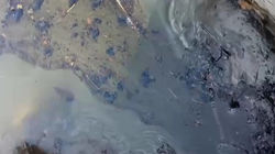 Из-за загрязнения реки Кара-Балта нефтепродуктами местные жители не могут использовать воду. Фото, видео