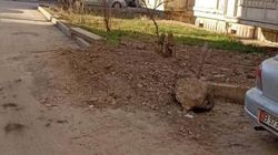 В Джале городские службы раскопали дорогу и не восстановили. Фото горожанина