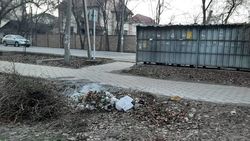 На Боконбаева бросают и сжигают мусор возле мусорных баков. Видео и фото