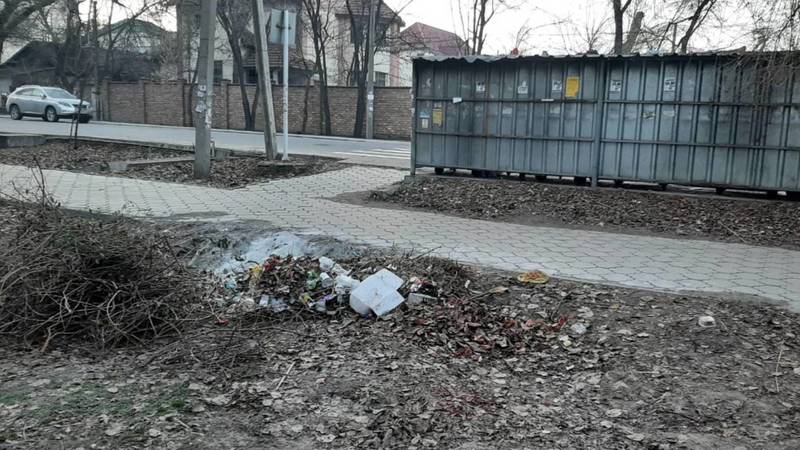 На Боконбаева бросают и сжигают мусор возле мусорных баков. Видео и фото