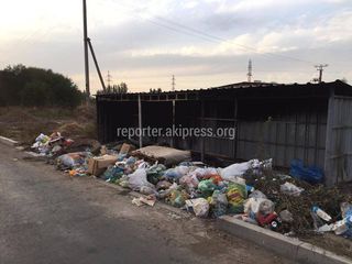 Когда установят мусорные баки на улице Куйручук в жилмассиве Кок-Жар?