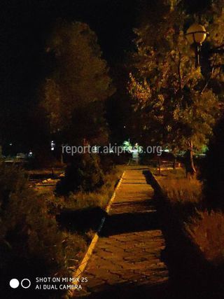 В сквере им.Гагарина в Балыкчы не работает ночное освещение