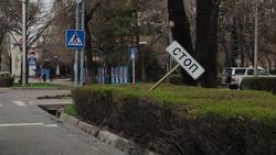 На Чуй-Тыныстанова упал дорожный знак. Фото