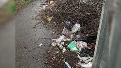 Горожанин жалуется на мусор на Суюмбаева-Московская