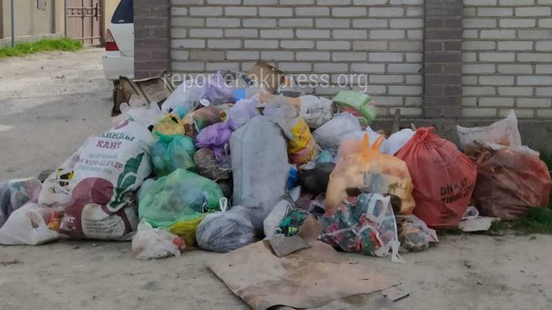 «Тазалык» не убирал мусор на улице Ай в Ак-Орго из-за поломанной техники, - мэрия