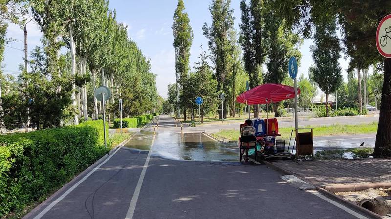В парке «Ынтымак» вода из арыка топит тротуар. Фото