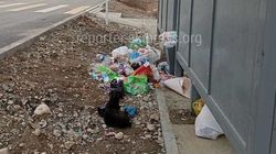 Жители Арча-Бешика просят вернуть мусорные баки. Фото