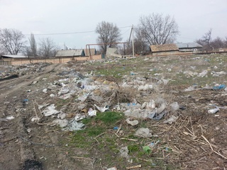 Жители города недовольны стихийными свалками и мусором в Ленинском и Октябрьском районах <b><i> (фото) </i></b>