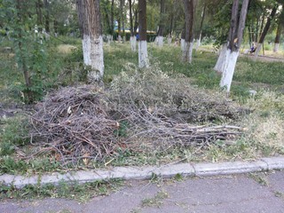 В парке им. Ленина в Карабалте очень грязно, - житель <b><i>(фото)</i></b>