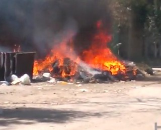 Загорелся мусор возле контейнеров на Тыныстанова-Скрябина, огонь перекинулся на одно из деревьев, - читатель <b><i>(видео)</i></b>