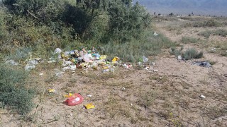 Дикий пляж в селе Чок-Тал Иссык-Кульского района весь в мусоре, - читатель<b><i>(фото)</i></b>