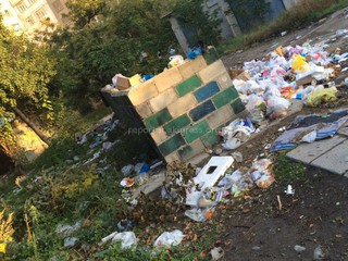 Горожане сообщают о неубранном мусоре <b><i>(фото)</i></b>