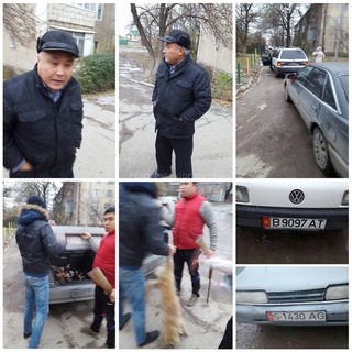 В Бишкеке убили Белку, - читатель <b><i>(фото)</i></b>