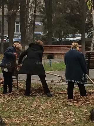 Почему уборкой листьев на бульваре Эркиндик занимаются женщины? - читатель <b><i>(фото)</i></b>