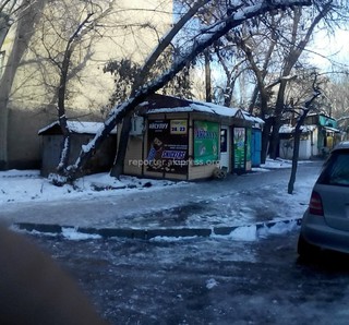 Деревья, находящиеся на пересечении улиц Темирязева-Чокморова, будут снесены до 18 декабря