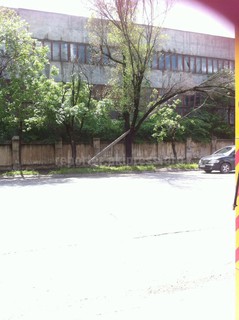На ул.Л.Толстого опора ЛЭП упала на дерево <i>(фото)</i>