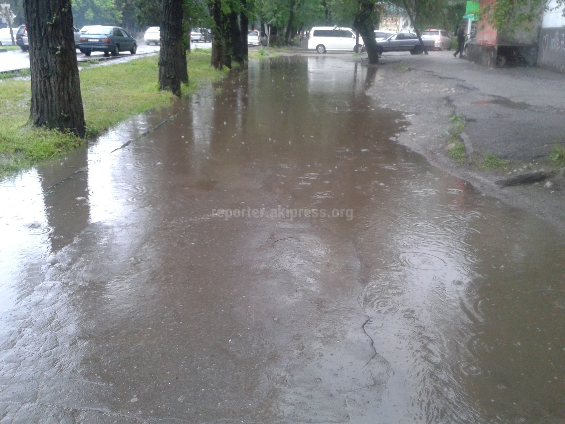 Арычная система на Жибек жолу не справляется с потоками дождевой воды (фото)