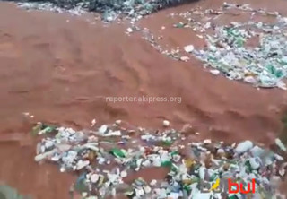 «Зеленстрой» после сообщения читателя о мусоре в реке Аламедин выехал на место для его устранения