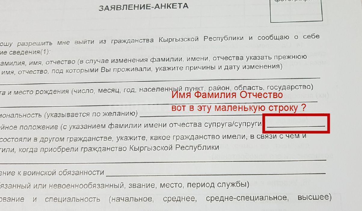 Форма «Заявление анкета на выход из гражданства» неудобна для заполнения, -  читатель (фото)