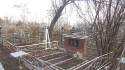 В селе Маевка на кладбище убран ствол дерева. Фото