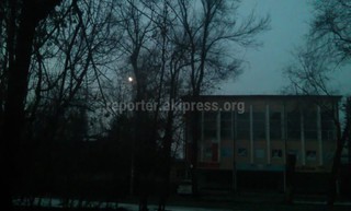 Фонари уличного освещения на ул.Кольбаева в Бишкеке мигают, - читатель (фото)