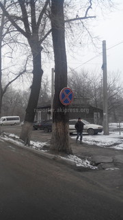 Дорожный знак на ул.Московской прибит к дереву <i>(фото)</i>